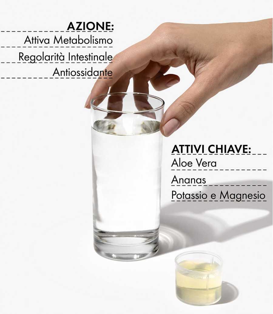 Aloe Day Più - Mango and Papaya - 