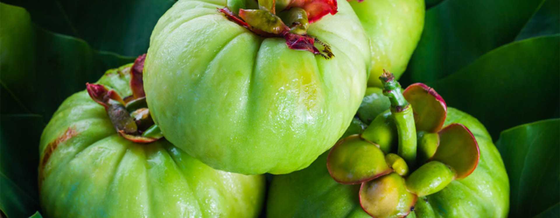What is Garcinia Cambogia, what is It used for, and most importantly: does it help you lose weight?