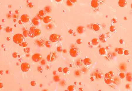 The Benefits of Coenzyme Q10 in Cosmetic Clothing