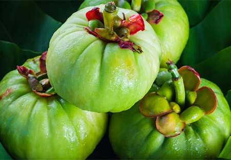 What is Garcinia Cambogia, what is It used for, and most importantly: does it help you lose weight?