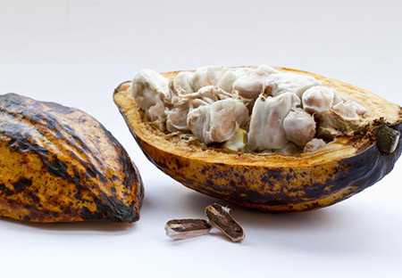 Can chocolate help you lose weight?