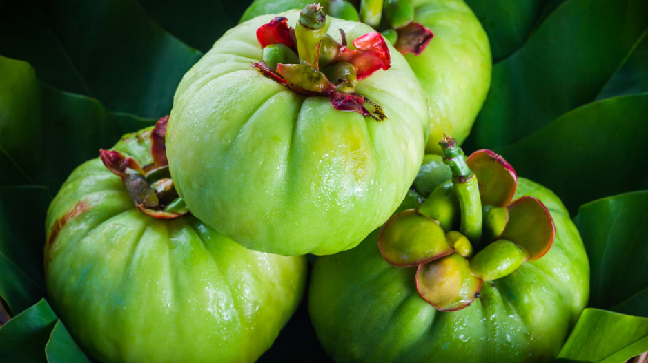 What is Garcinia Cambogia, what is It used for, and most importantly: does it help you lose weight?